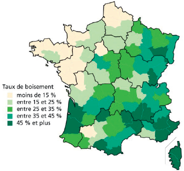 French Biomass Industry